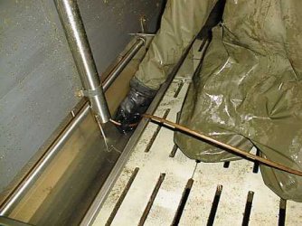 Reinigung der Fütterungsrohre mit einer Spülratte