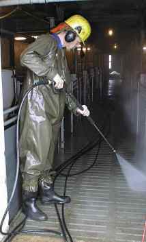 ein Reiniger im Stall